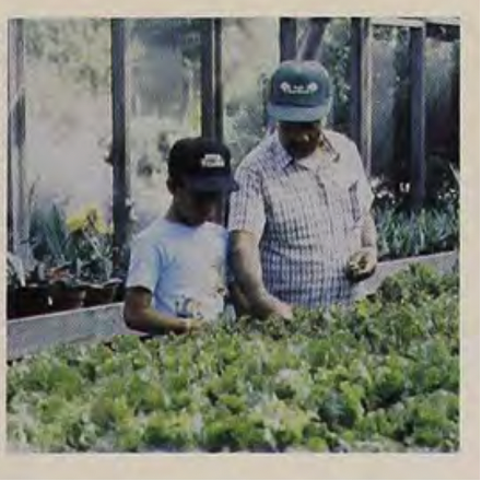 Photo from 1991 of a Veteran and his son working in the greenhouse at the Veteran’s Garden